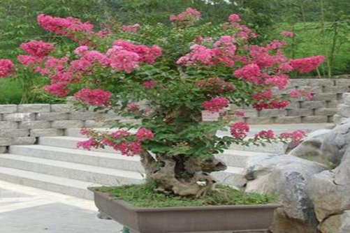 埃罗阿芒老师动漫——国产精品久久久久久久婷婷，甜蜜与禁忌的教室恋曲