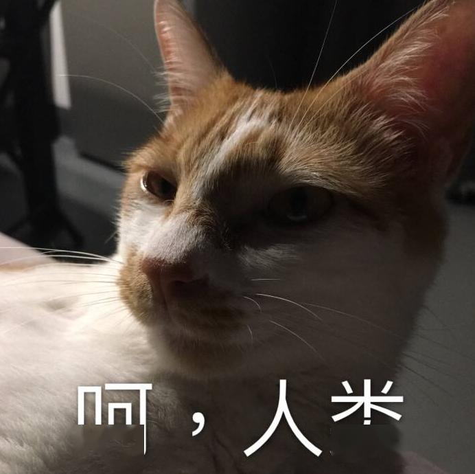 相机镜头上的参数——国产精品久久久久久久婷婷，一窥专业摄影的奥秘
